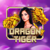 Dragon Tiger live casino on Big Bunny App